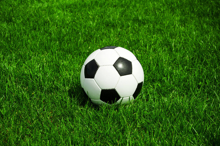 足球数据模型预测app多平台展示